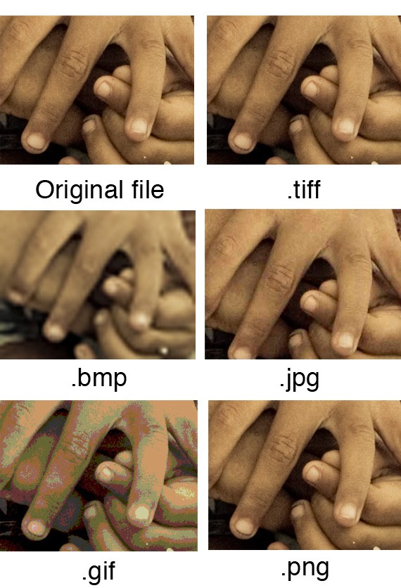 Different image file formats displayed side by side